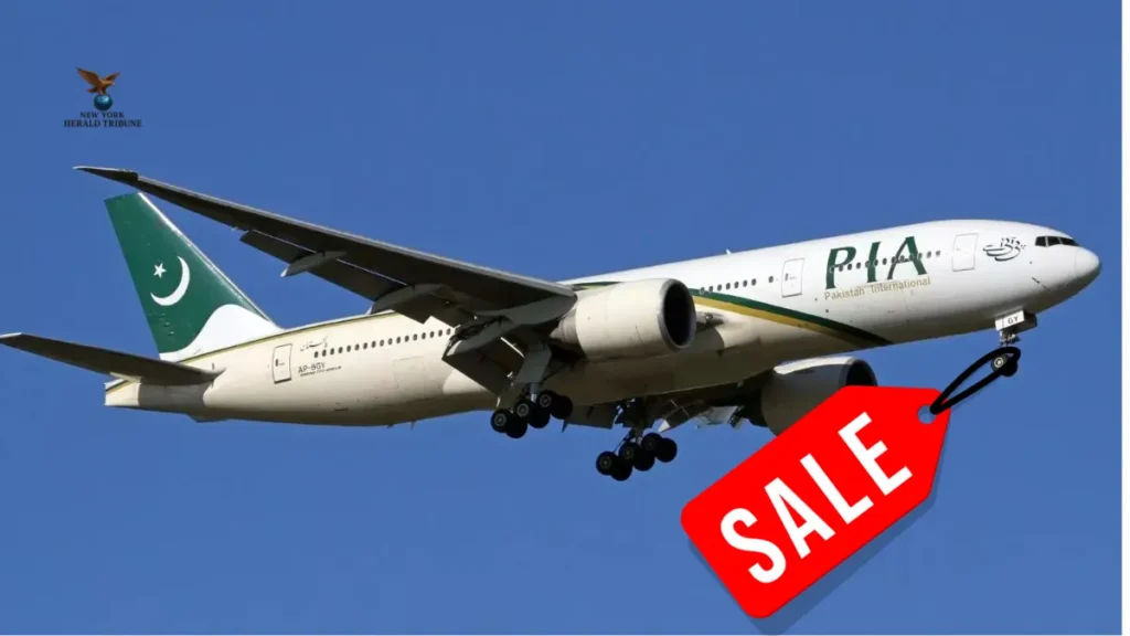 Pia Bidders